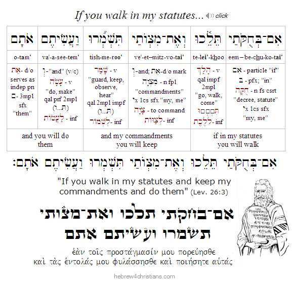 Leviticus 26:3 Hebrew Analysis