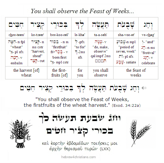Exodus 34:22 Hebrew lesson