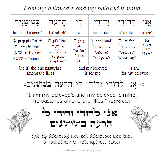 Song of Songs 6:3 Hebrew Analysis
