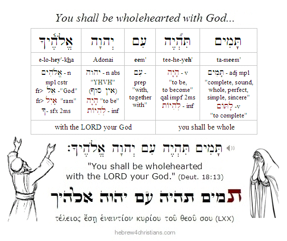Deut. 18:13 Hebrew analysis