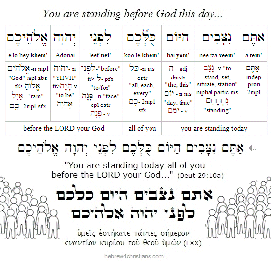 Deut 29:9[10h] (BHS)