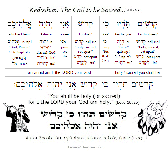 Leviticus 19:2b Hebrew Analysis