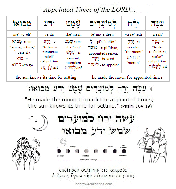 Psalm 104:19 Hebrew Analysis